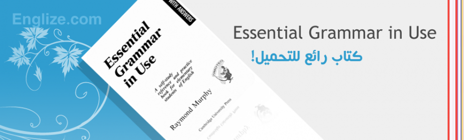 essential grammar in use 2nd edition pdf